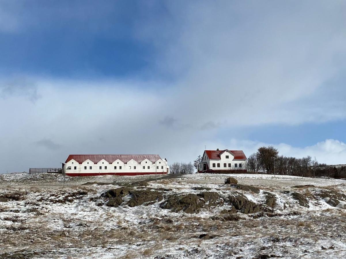 Helluland Guesthouse Saudarkrokur Экстерьер фото