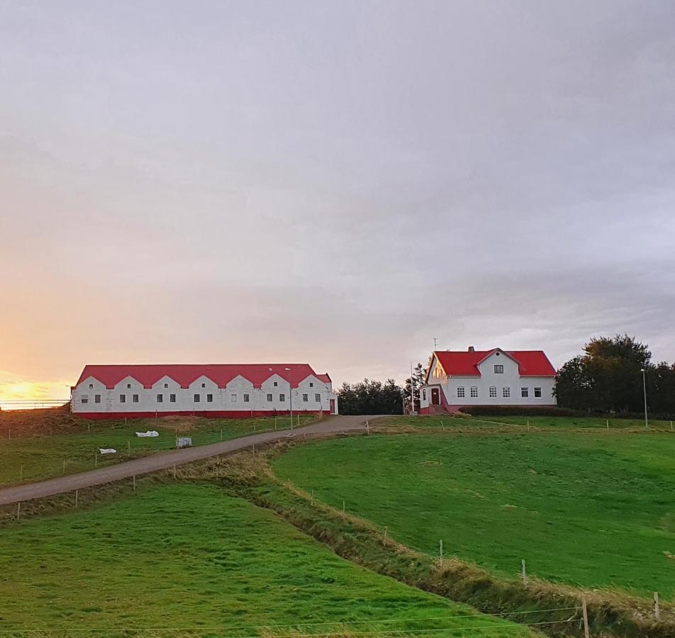 Helluland Guesthouse Saudarkrokur Экстерьер фото
